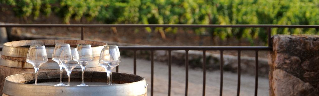 A découvrir : le vin de Provence de l’Escarelle